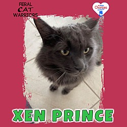 Photo of Xen Prince