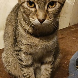Photo of Anastasia