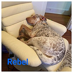 Thumbnail photo of REBEL #3
