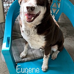 Thumbnail photo of Eugene #1