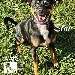 Thumbnail photo of Star #1