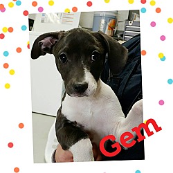 Photo of GEM