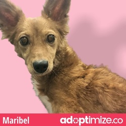 Photo of Maribel