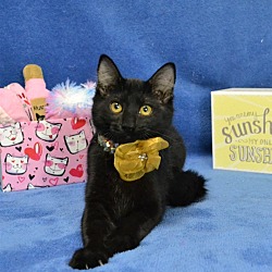 Photo of Luna