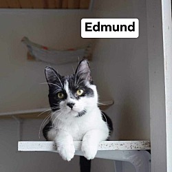 Photo of Edmund