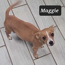 Photo of Maggie