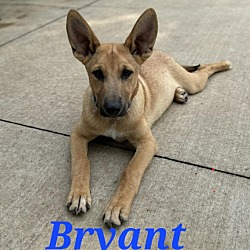 Photo of Byant