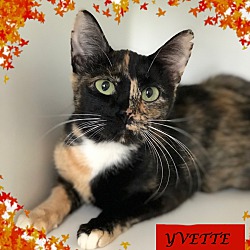 Photo of Yvette