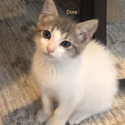 Photo of Dora