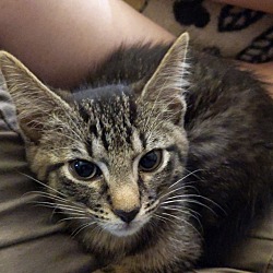 Photo of Hazel