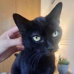 Photo of Grandma Luna