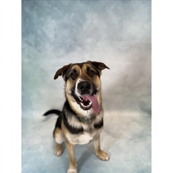 Photo of HECTOR