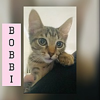 Photo of Bobbi