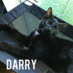 Photo of Darry