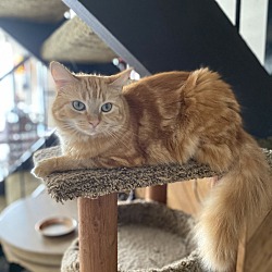 Photo of Debbie