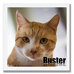 Thumbnail photo of Buster #4