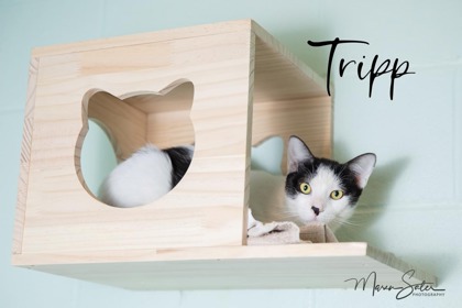 Photo of Tripp ***Sponsored***