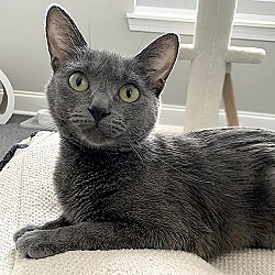 Photo of Stormy