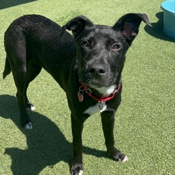 Thumbnail photo of Florence A2154712 #2