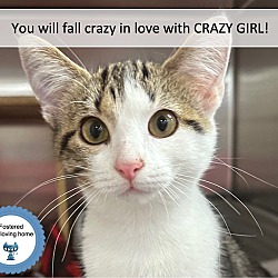 Thumbnail photo of Crazy Girl #1