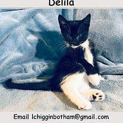 Photo of Delila
