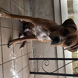 Photo of Duke