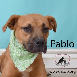 Thumbnail photo of Pablo #3