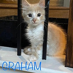Photo of Graham