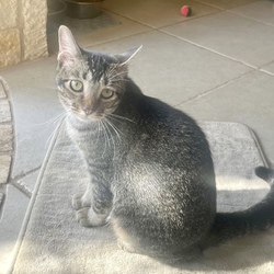 Photo of Segovia Michelle