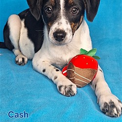 Photo of Cash