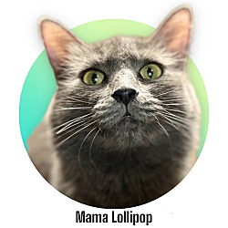 Photo of Mama Lollipop