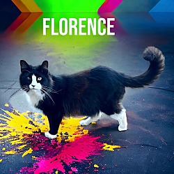 Thumbnail photo of Florence #1
