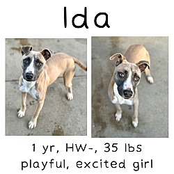 Photo of Ida