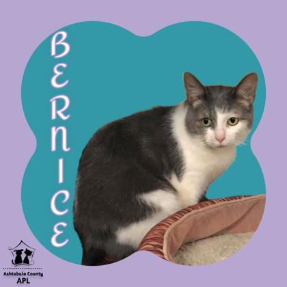 Thumbnail photo of Bernice #1