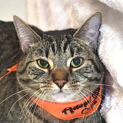 Photo of Milo