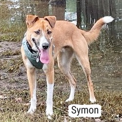Photo of Symon