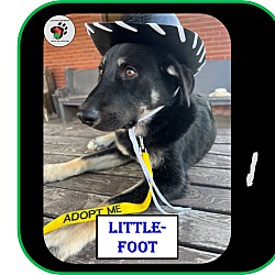Thumbnail photo of Little-Foot - UPDATED #1
