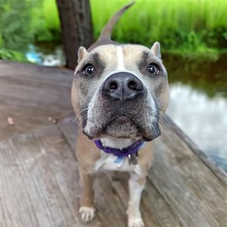 Photo of POLO
