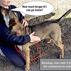Thumbnail photo of Smokey Joe(AAP) #2