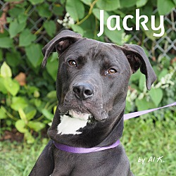 Photo of Jacky