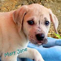 Thumbnail photo of Mary Jane~adopted! #4