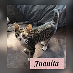 Photo of Juanita