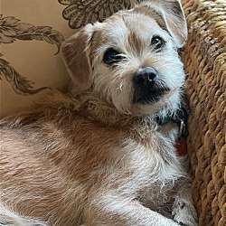 Photo of Lucas