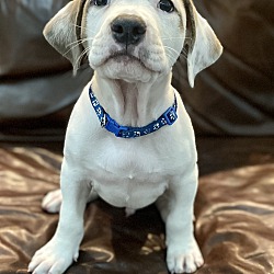 Photo of Bingo