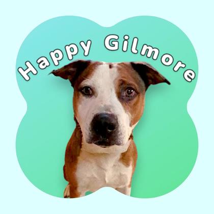 Photo of Happy Gilmore