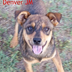 Thumbnail photo of Denver JM #1