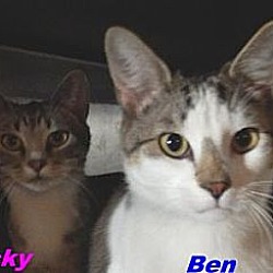 Photo of Ben & Becky
