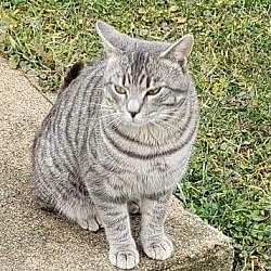 Photo of Mr. G