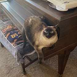 Photo of Boots