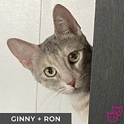 Thumbnail photo of Ginny #1